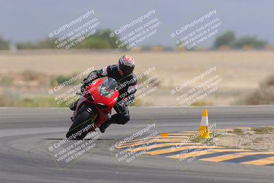 media/Sep-30-2023-SoCal Trackdays (Sat) [[636657bffb]]/Turn 15 (1120am)/